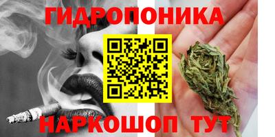 сатива Бузулук