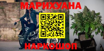 сатива Бузулук