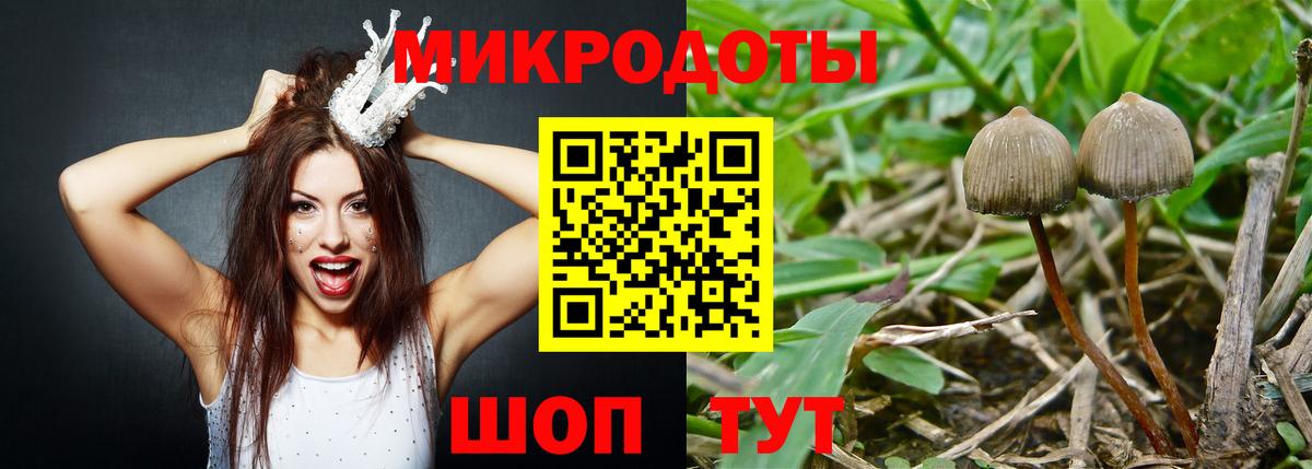 Псилоцибиновые грибы ЛСД Орехово-Зуево